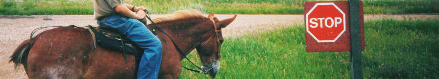 BradFox.com header image 1