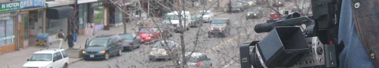 BlogFox random header image