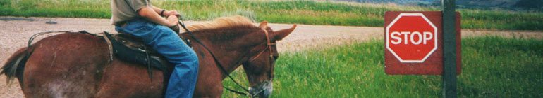 BlogFox random header image